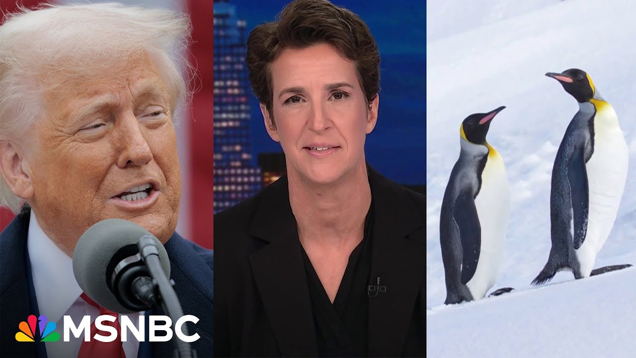 New Trump tariffs include countries with penguins but no people