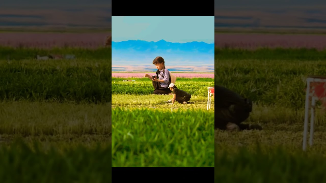 Big girl sitting in fields #youtubeshort #4vloggetiers #youtubeshorts