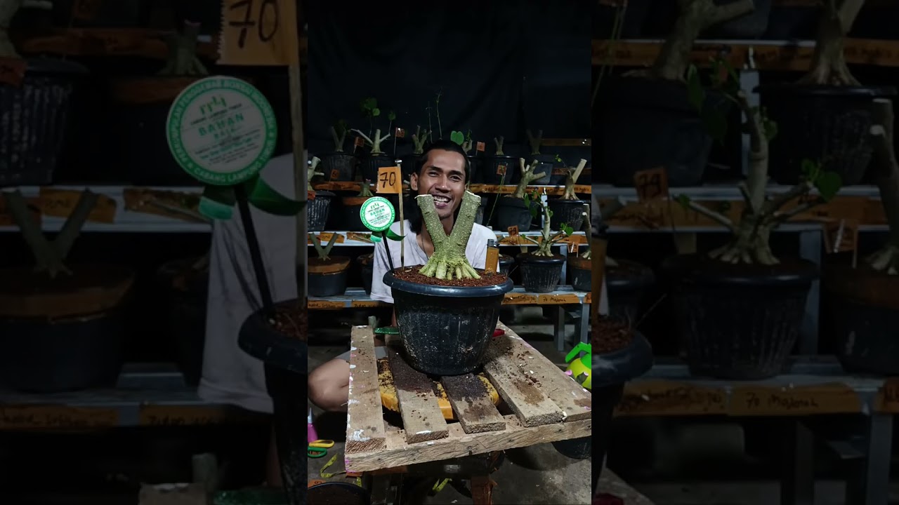 CUACA SYAHDU ENAKNYA KUMPUL SINI AJA...