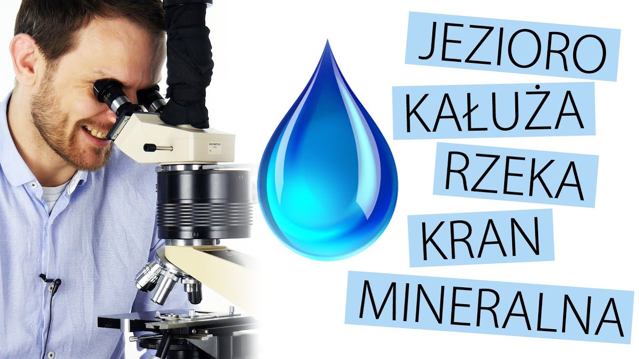 Życie w kropli wody