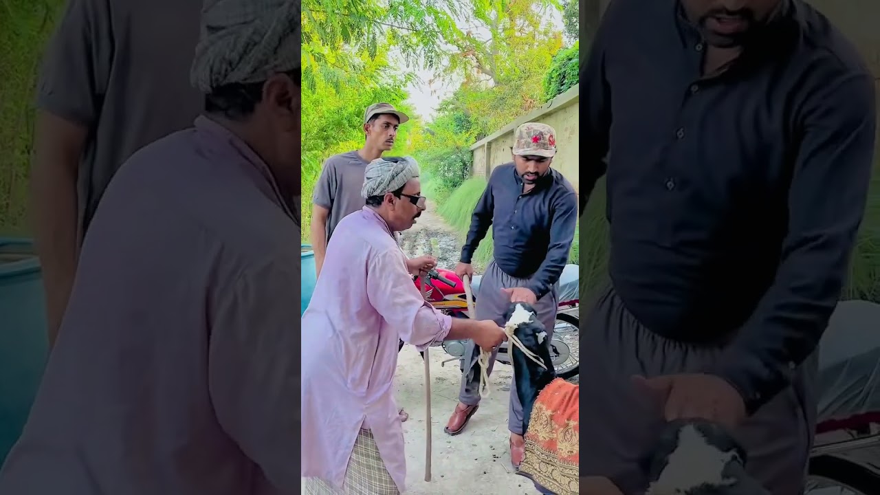 Shatir samuglar￼ ko police ne kaise pakra Watch The End  #funny #comedy #funnymoments