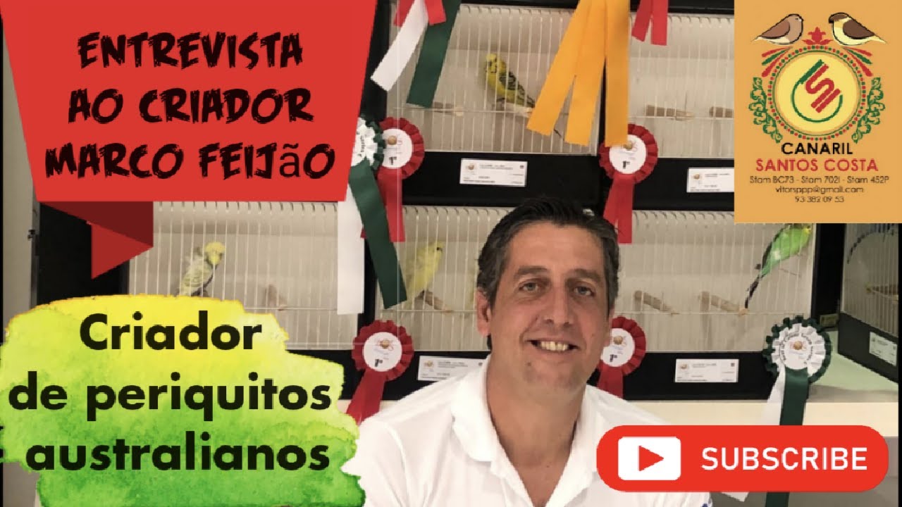 Entrevista ao criador Marco Feijão