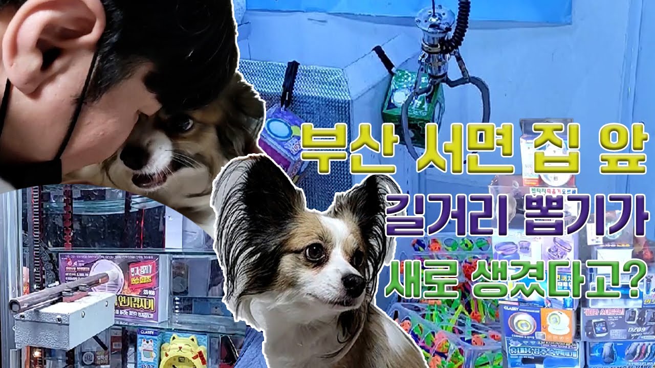 부산 서면 집앞 길거리에 인형뽑기기계가 생겼어요~ Claw Machine