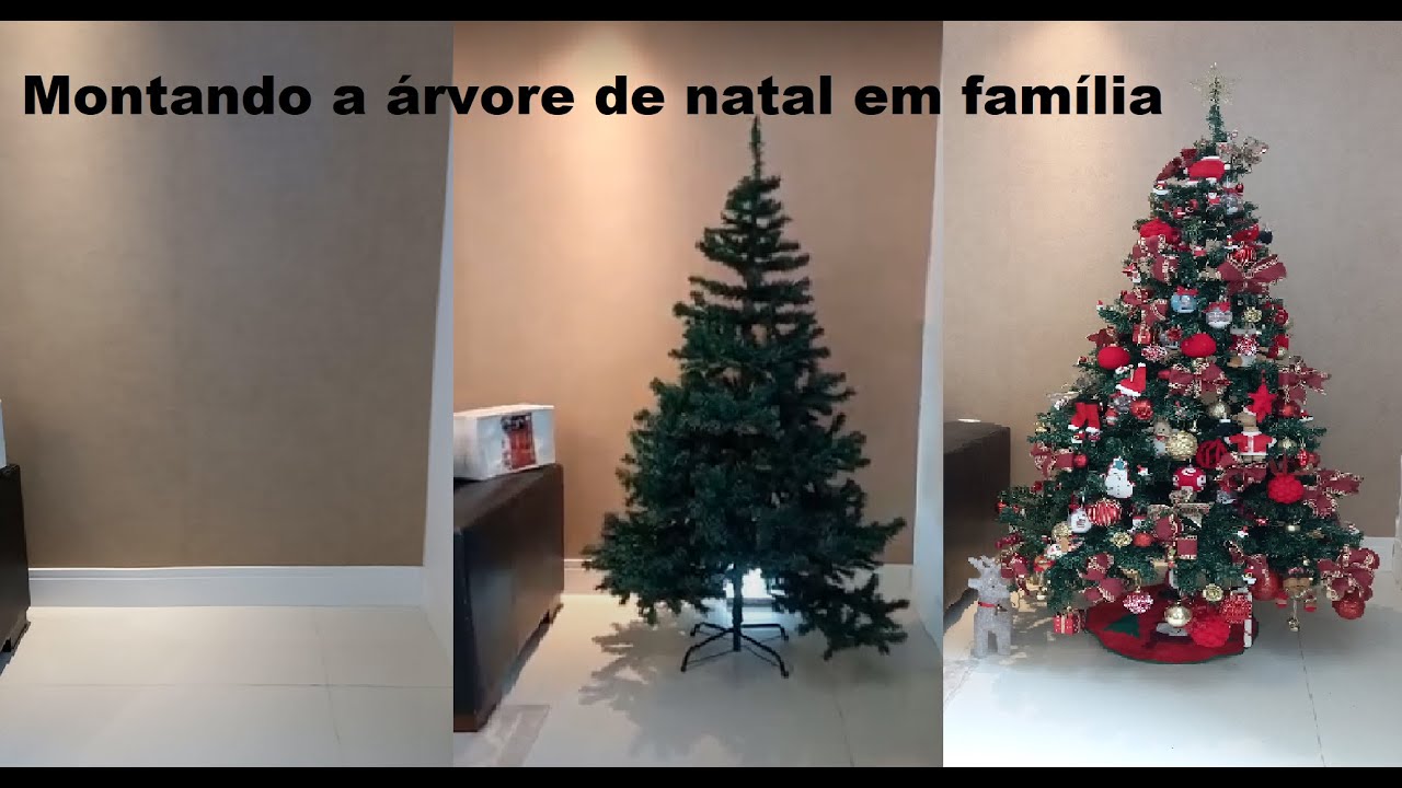 Montando a árvore de natal