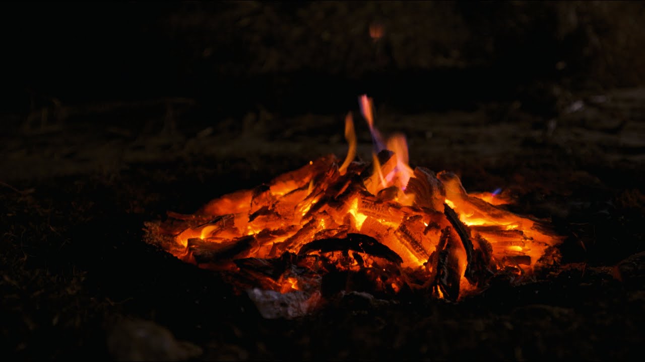 ASMR 잠잘오는 수면유도 모닥불 소리, 풀벌레소리, 귀뚜라미소리 백색소음 8시간