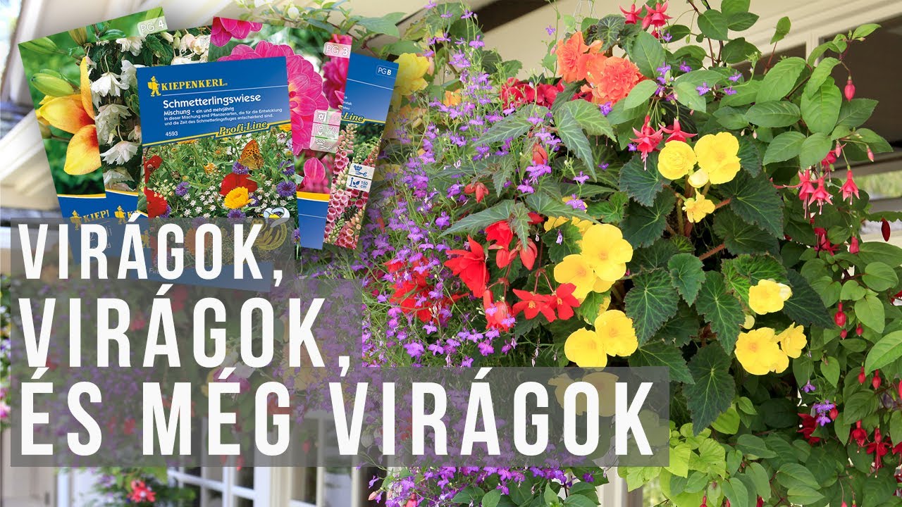 Mindenhová virágokat!!! - most van itt a nyári hagymások és évelők vetésének ideje | kert TV