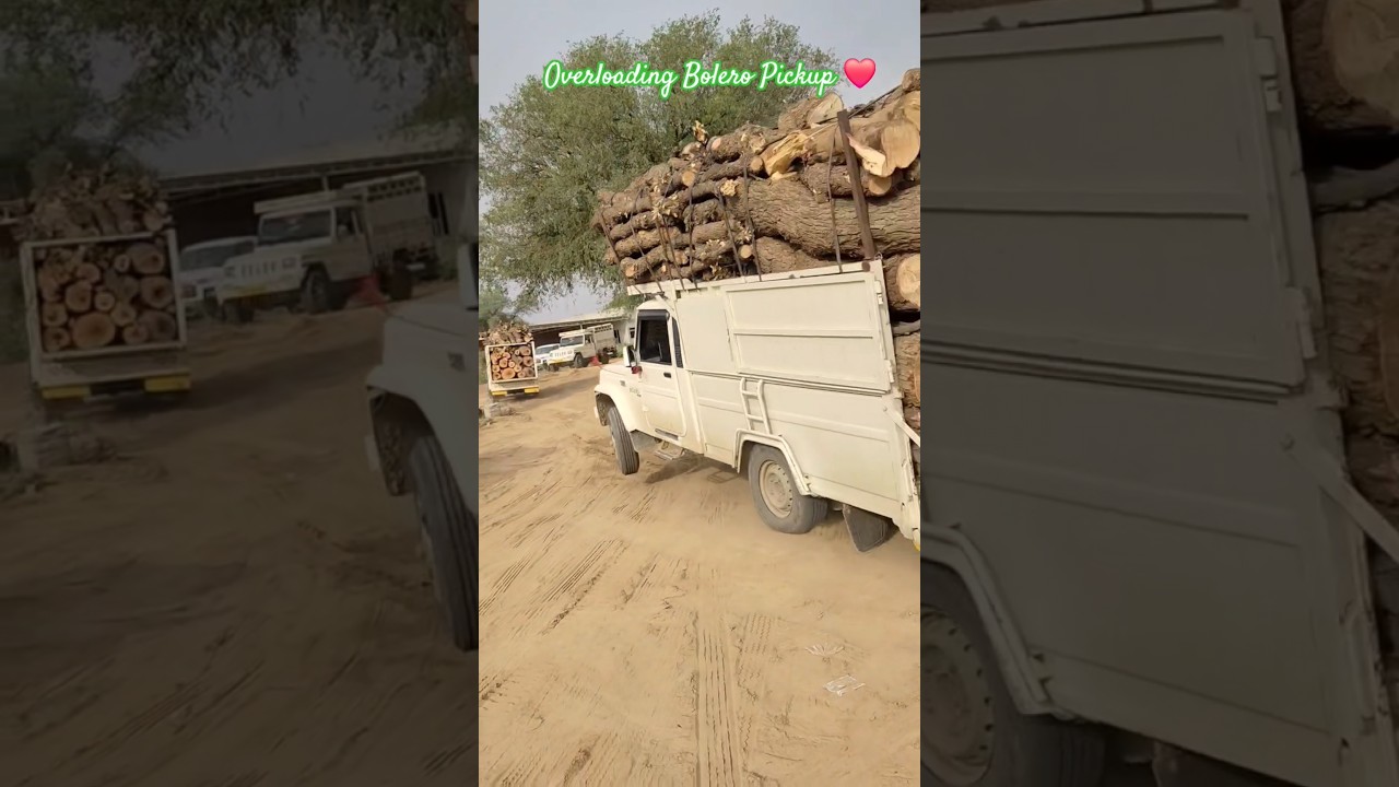 overloading Bolero pickup attitude 😤  #bolero #pickup #overloading
