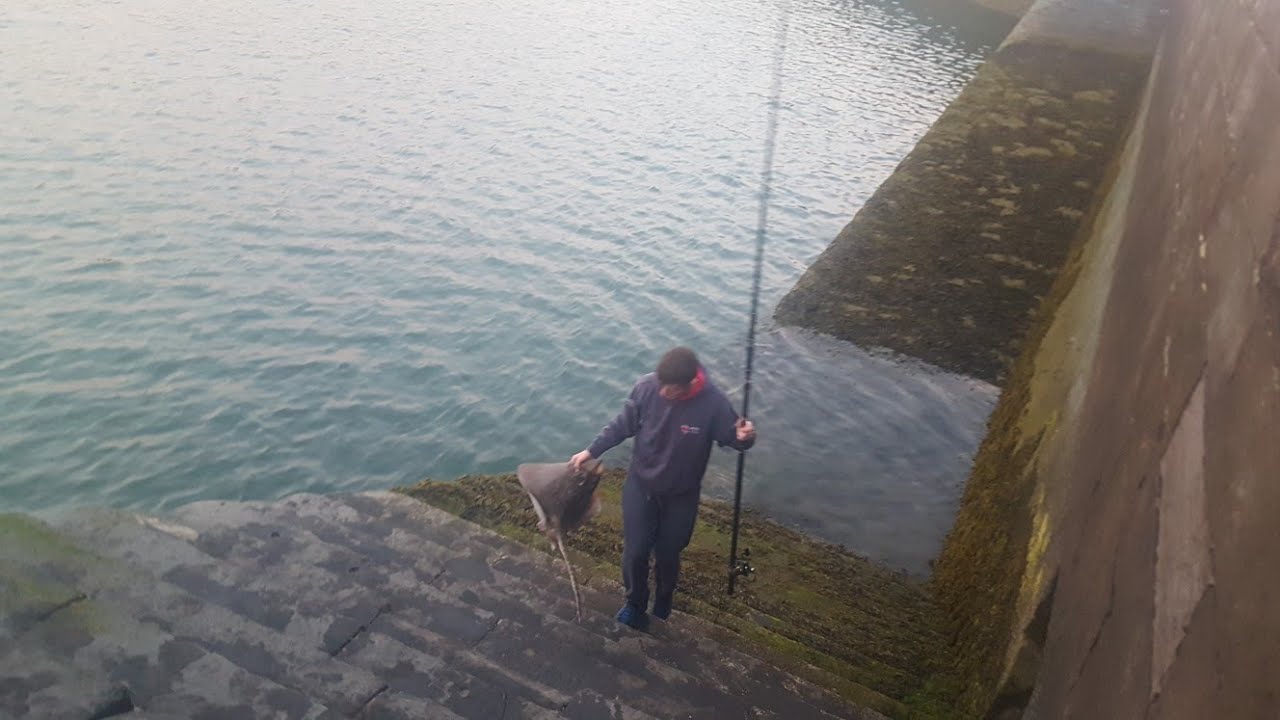 Sea Fishing - Thornback Ray Fishing at Whitehaven