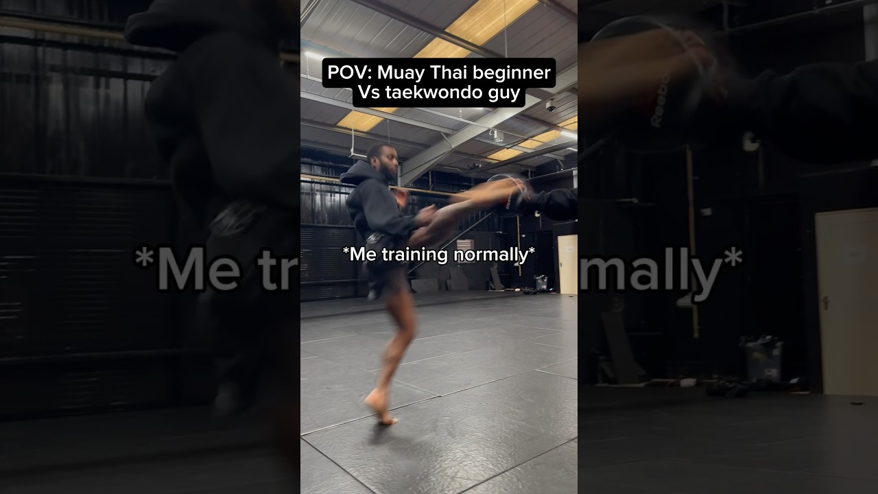 Muay Thai beginner vs taekwondo guy