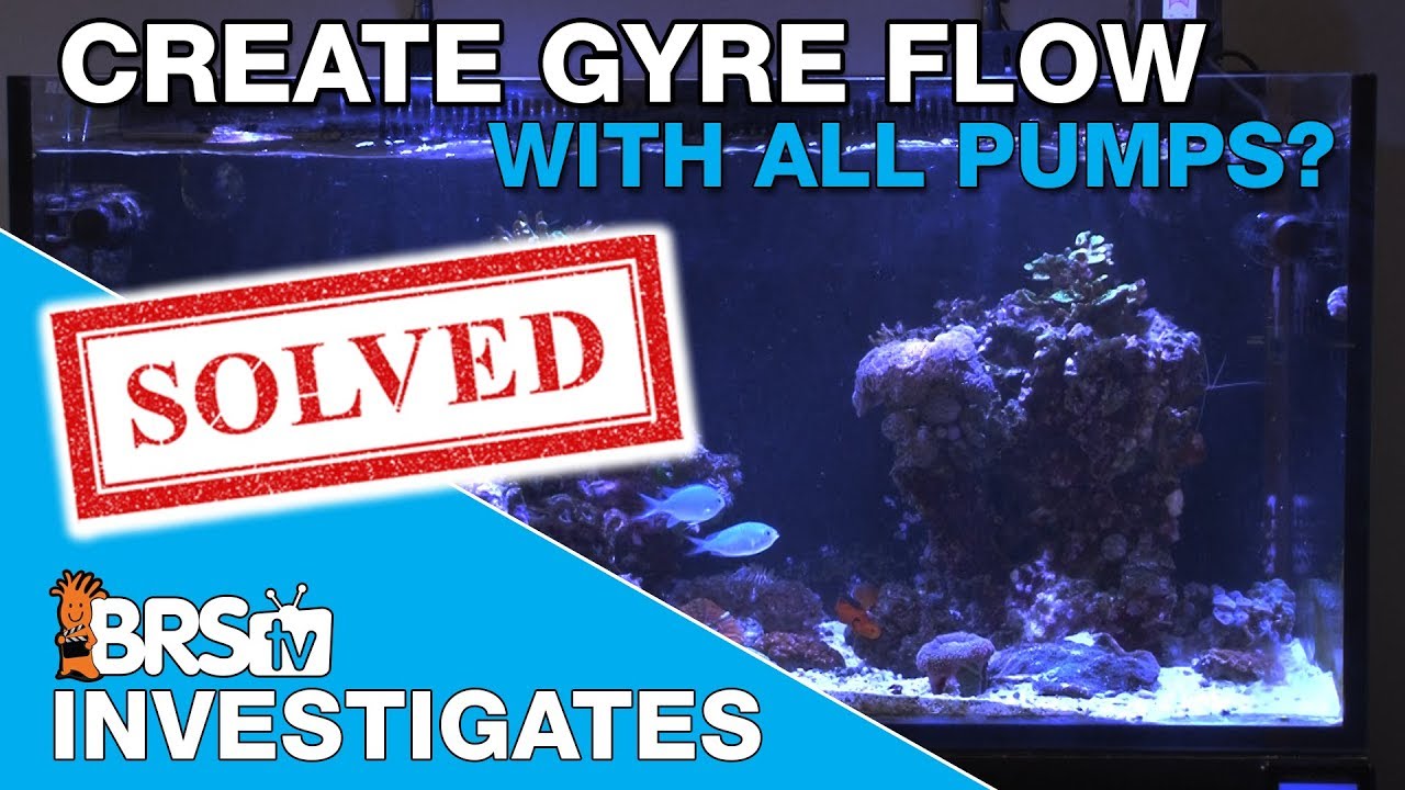 Is the Maxspect Gyre pump the only way to create gyre flow in my tank? | BRStv Investigates