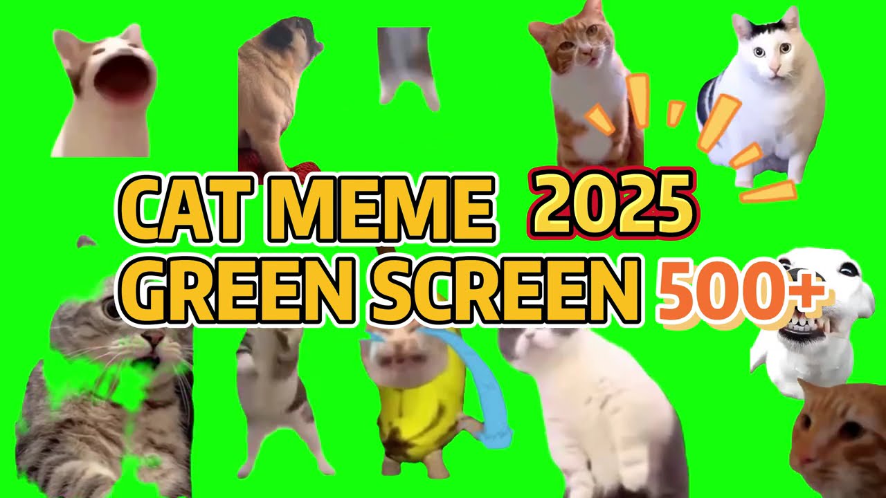 500-Hilarious Cat Meme Green Screen Clips &ndash; The Ultimate Compilation! || Catmeme Club🤣