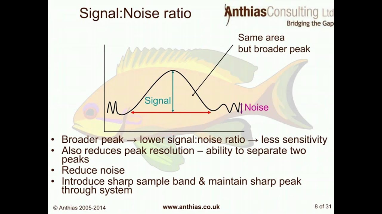GC( -MS) Considerations when Analysing Food Samples