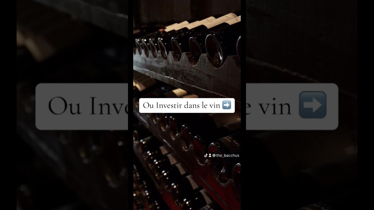 Ou investir dans le vin ? 🍷 #cave #wine #vin #investissement #business