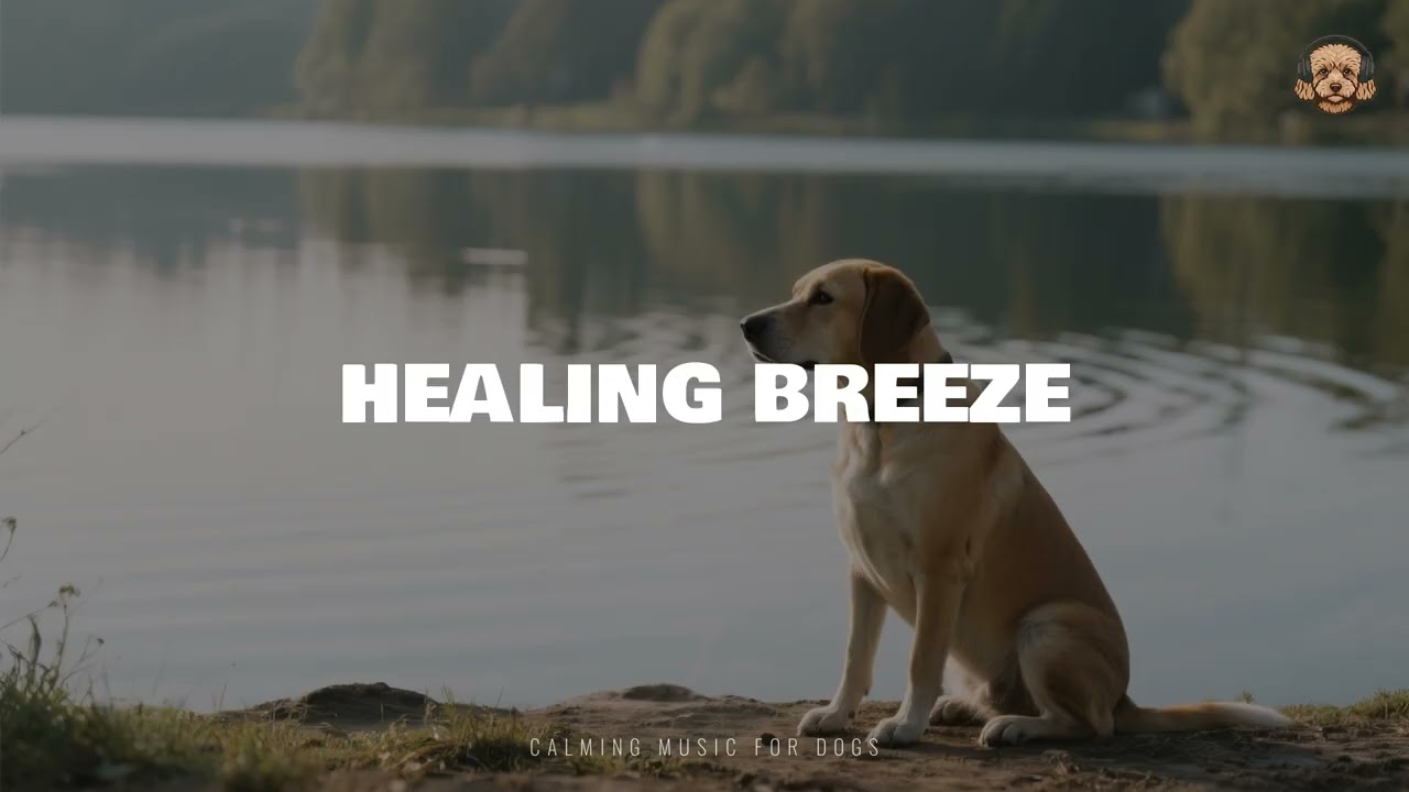 Healing Breeze – Bark & Chill Soundtrack | Peaceful Companionship Music