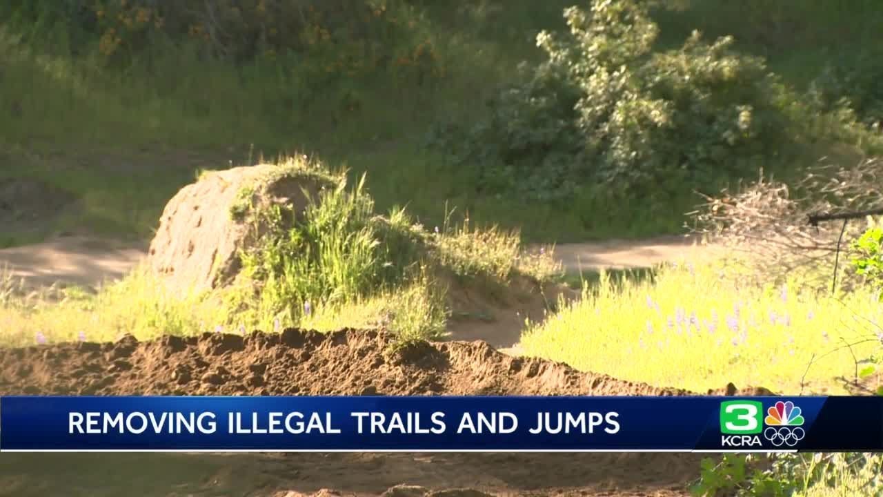 Illegal bike jumps and trails removed in California state parks