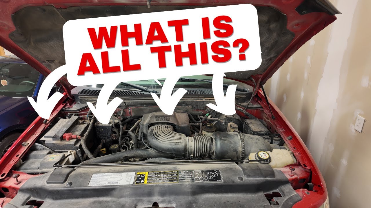 Car Basics - Learn What's Under Your Hood