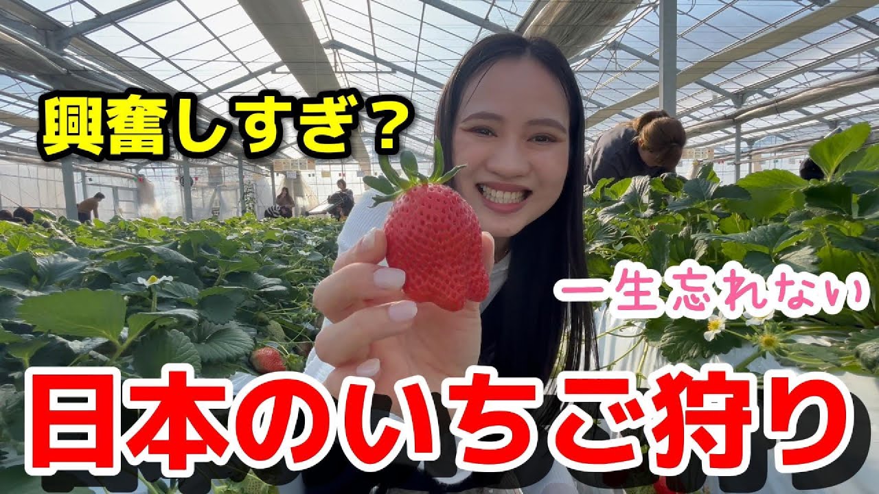 ベトナム人が日本のいちご狩りをして大満足！一生の思い出ができました【外国人の反応】