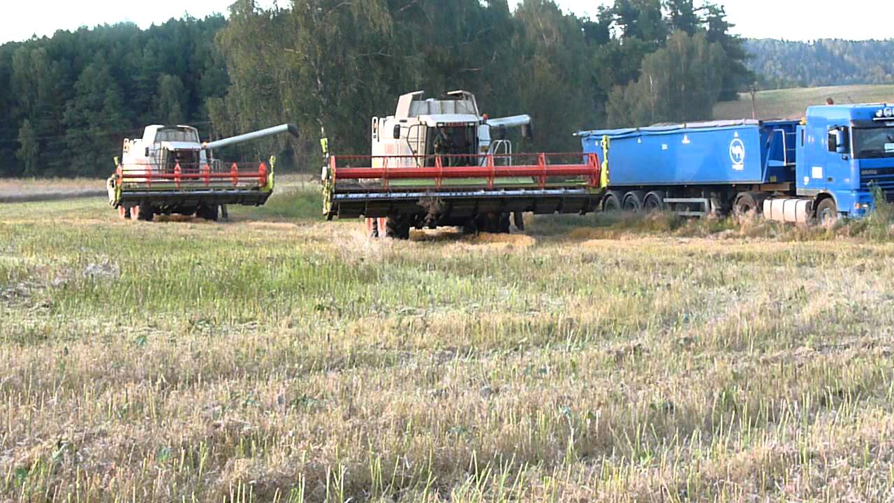 Claas Lexion 460 (Rynoltice 2011) 4