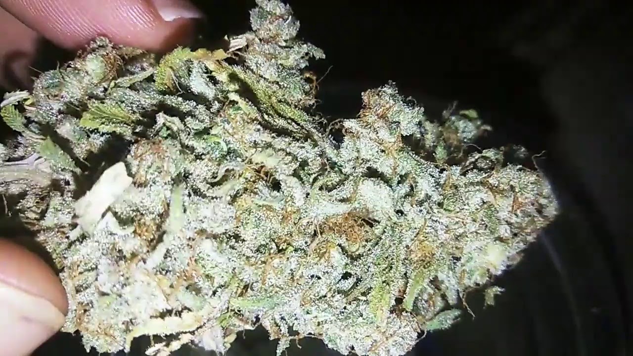 pineapple chunk update