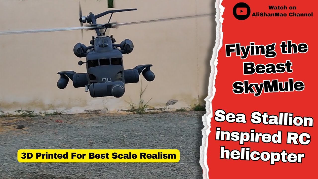 Sky Mule X480 3D Printed Sikorsky CH53 Sea Stallion inspired RC Helicopter - Yard Flight