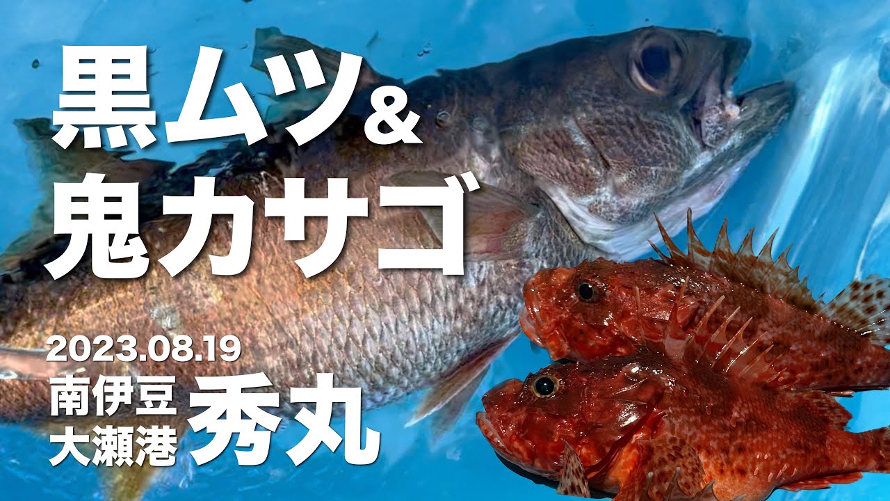 【2023年8月】黒ムツ＆鬼カサゴ