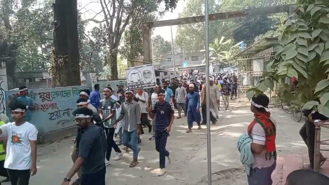 হাজার হাজার মানুষ দাড়িপাল্লা মিছিলে নাগরপুর টাঙ্গাইল 