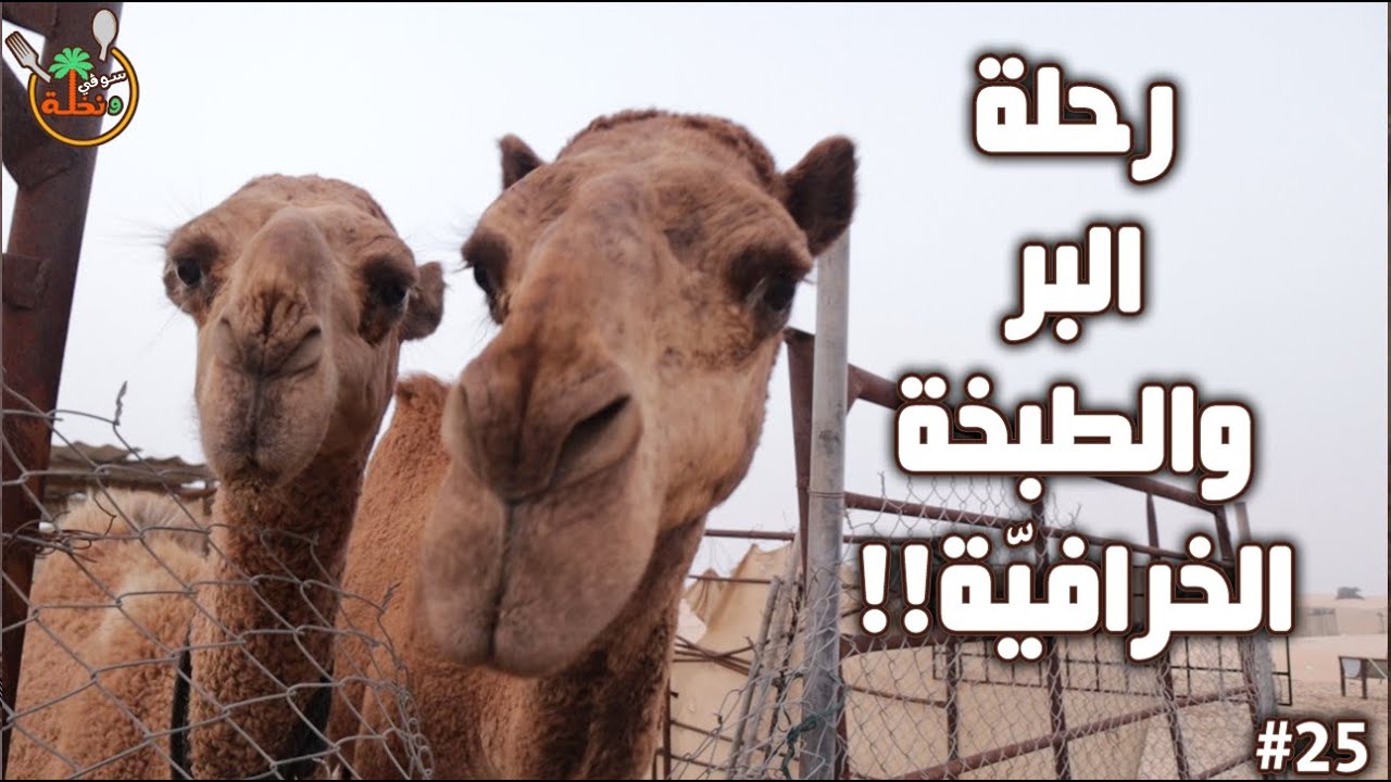 🏜 كشتة بر وكبسة حاشي بخلطة سرية