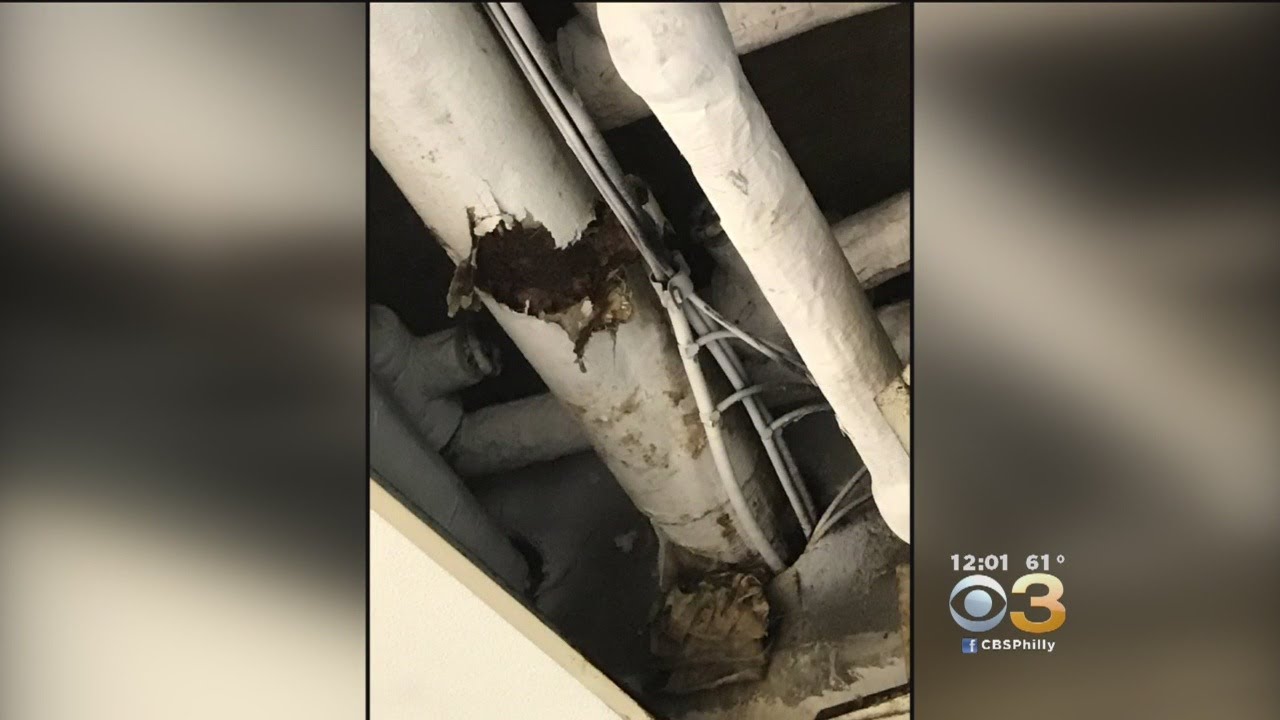 Philadelphia School Closed Thursday After Mold Found In Several Classrooms