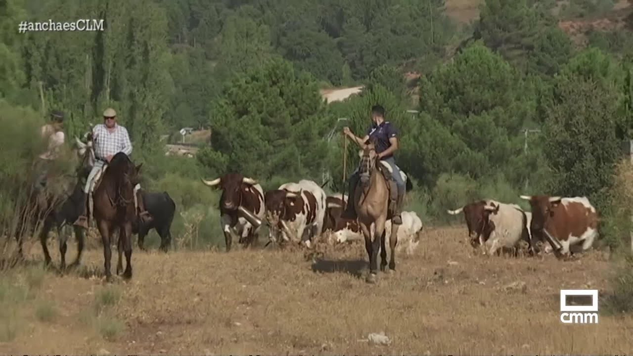 Encierros en Riópar | Ancha es Castilla-La Mancha