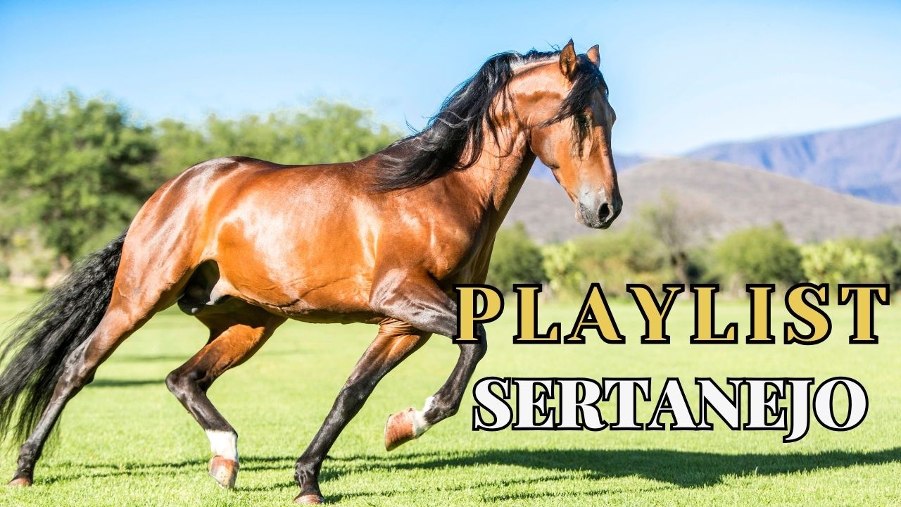 Melhores do Rural 🤠 Fazenda - Sertanejo 2024
