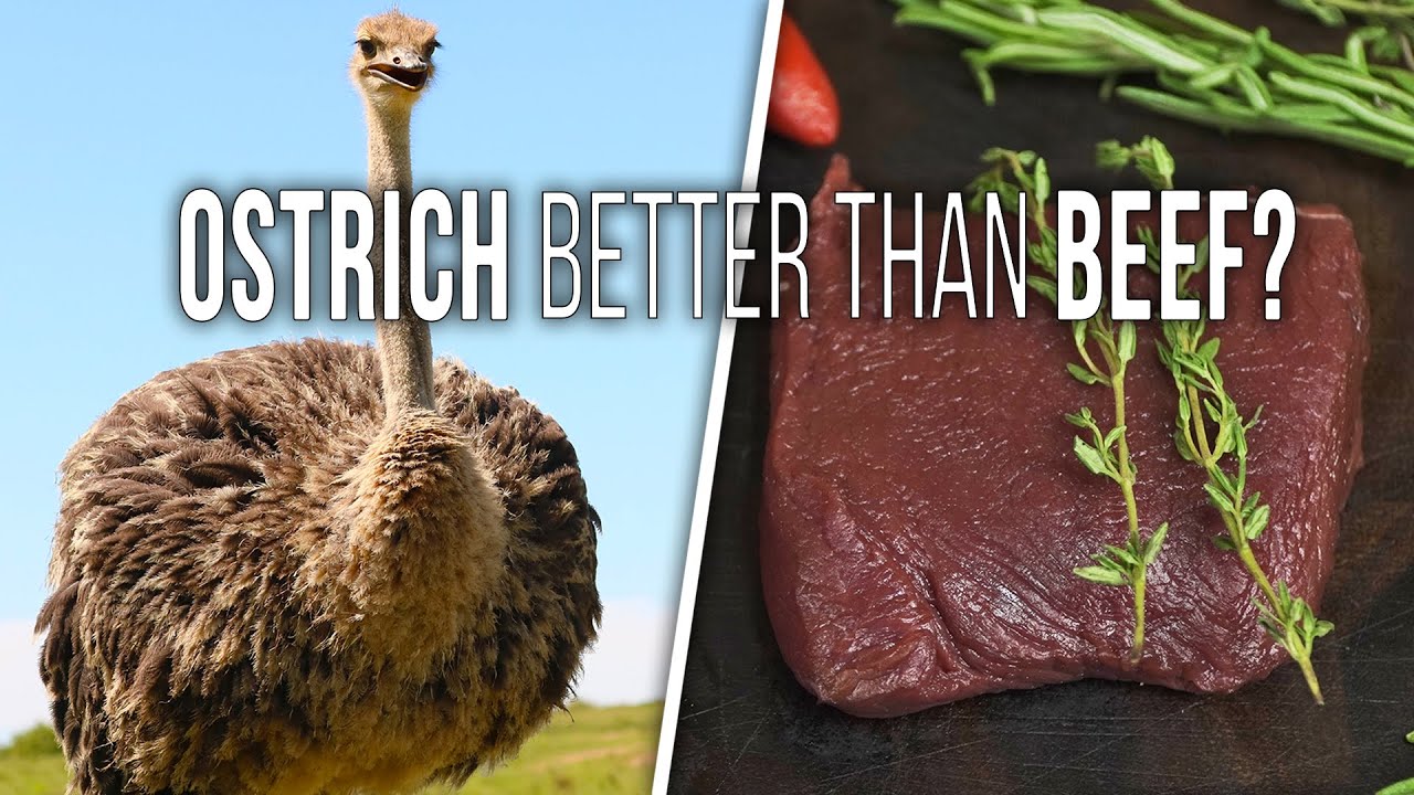 How to Cook OSTRICH STEAKS - Is Ostrich Better Than Beef?