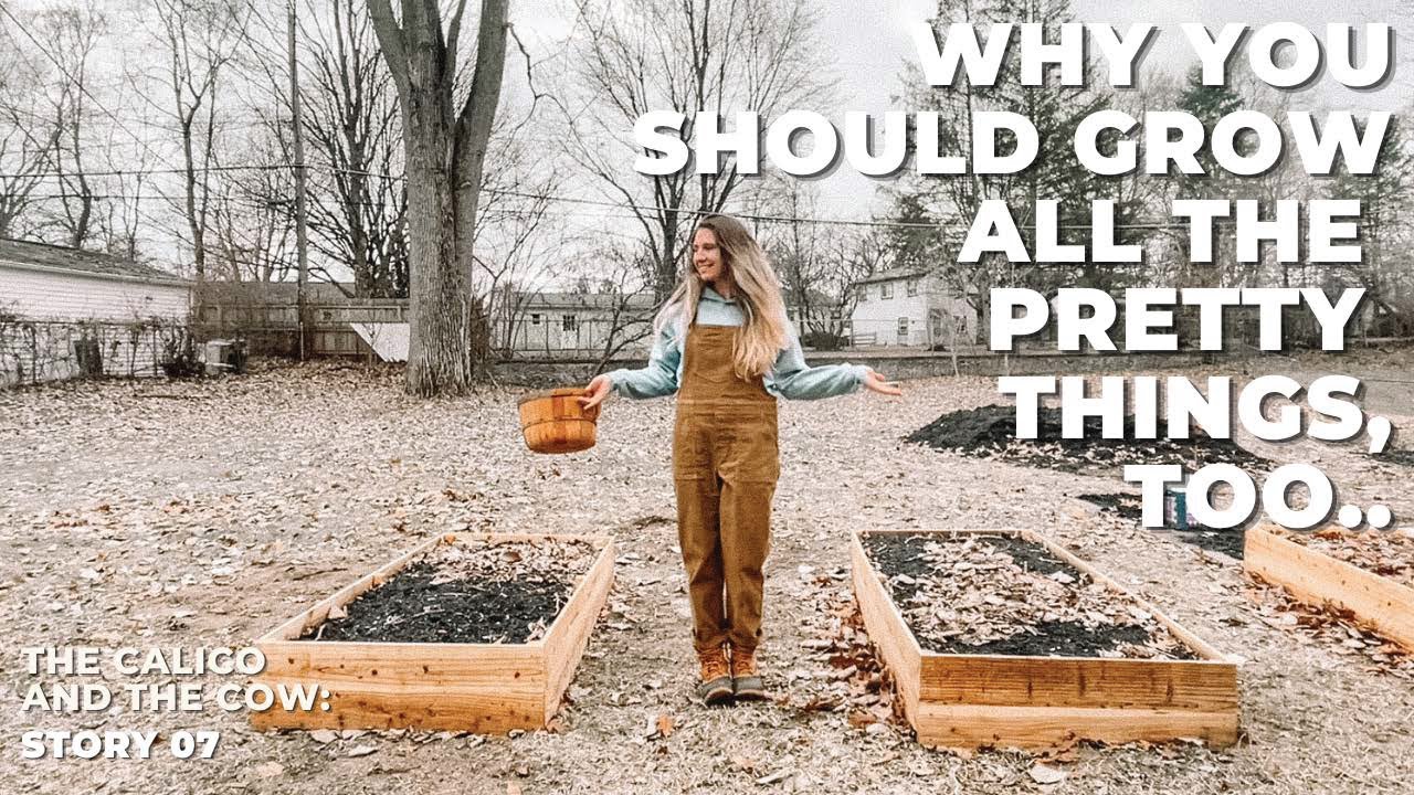 Garden Progress in March & a Gardening Chat | The Calico and The Cow