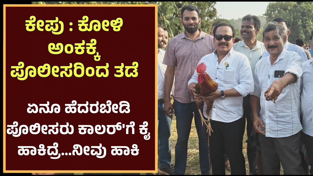 ಕೇಪು ಕೋಳಿ ಅಂಕಕ್ಕೆ ಪೊಲೀಸರ ತಡೆ - ಖುದ್ದು ಸ್ಥಳಕ್ಕೆ ಧಾವಿಸಿ ಅಂಕ ಮಾಡಿಸಿದ MLA Ashok Rai