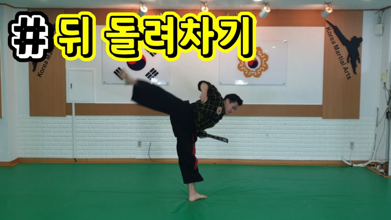 발차기-뒤돌려차기(korea martial arts)