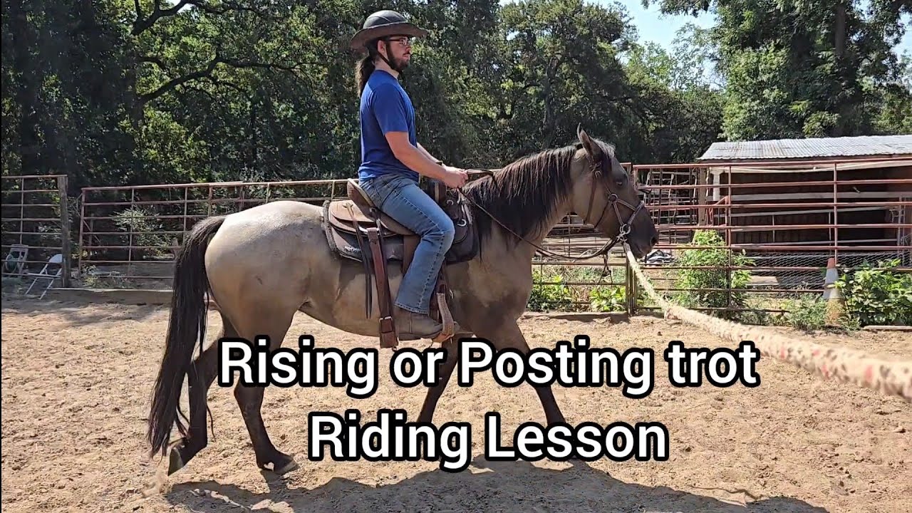 Posting or Rising Trot in a Western Saddle - Adult Riding Lesson on Balance and Rythm