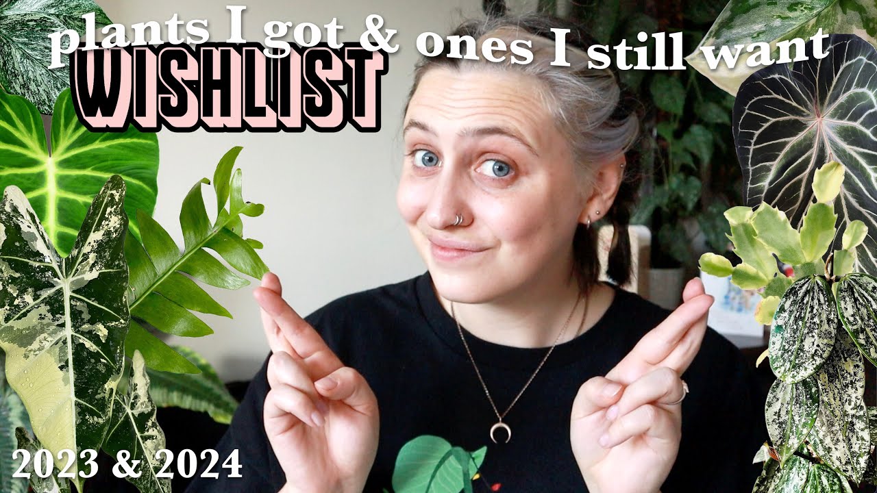 What's on my 2024 Wishlist? ✨🪴 and Reviewing my 2023 Wishlist