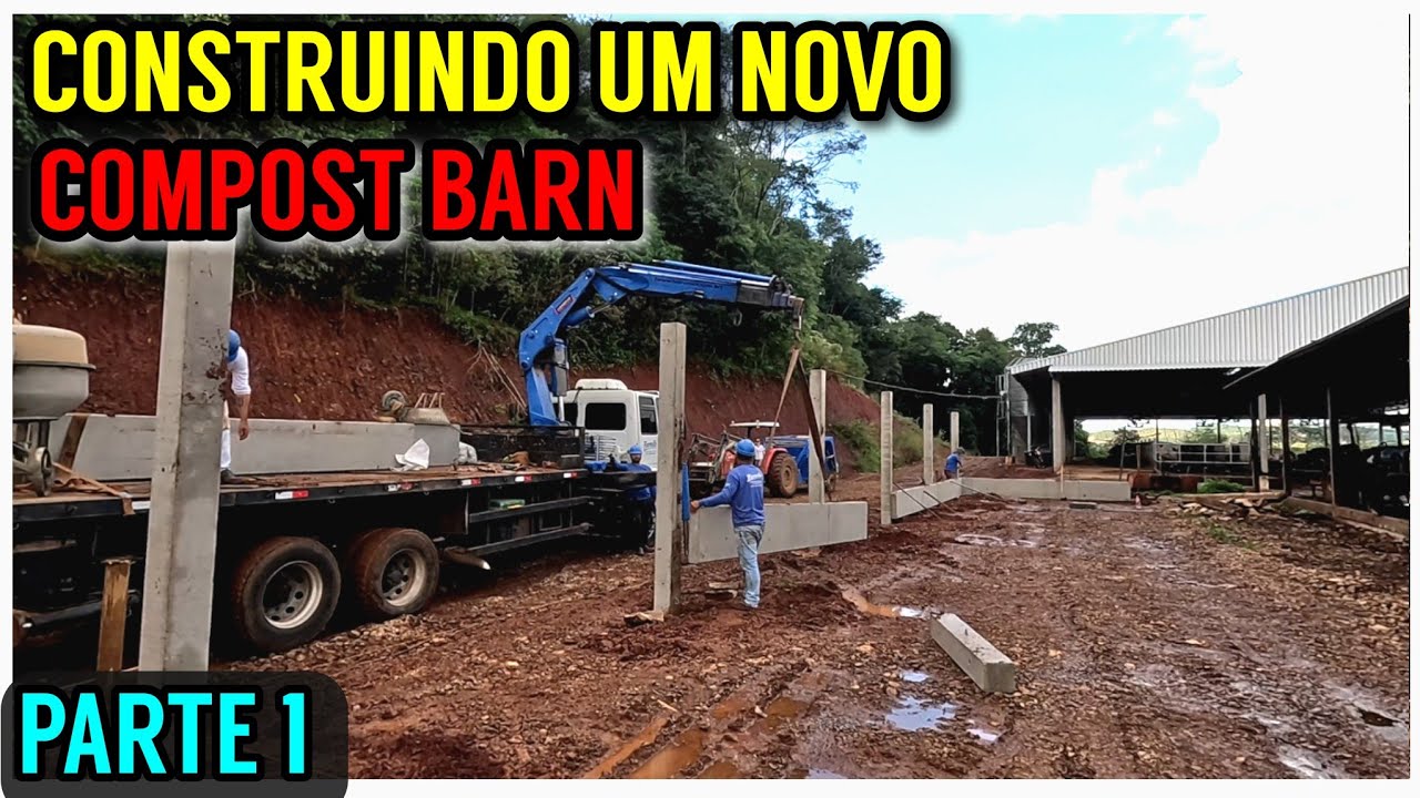 Fundação do NOVO COMPOST BARN para as novilhas (Investimento na produção de leite)