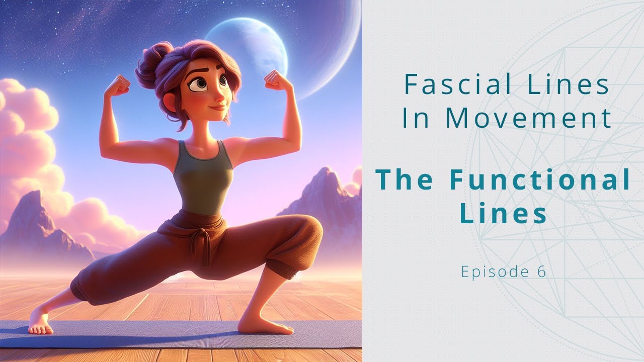 Using The Functional Lines In Movement | Fascial Lines for Yoga Teachers