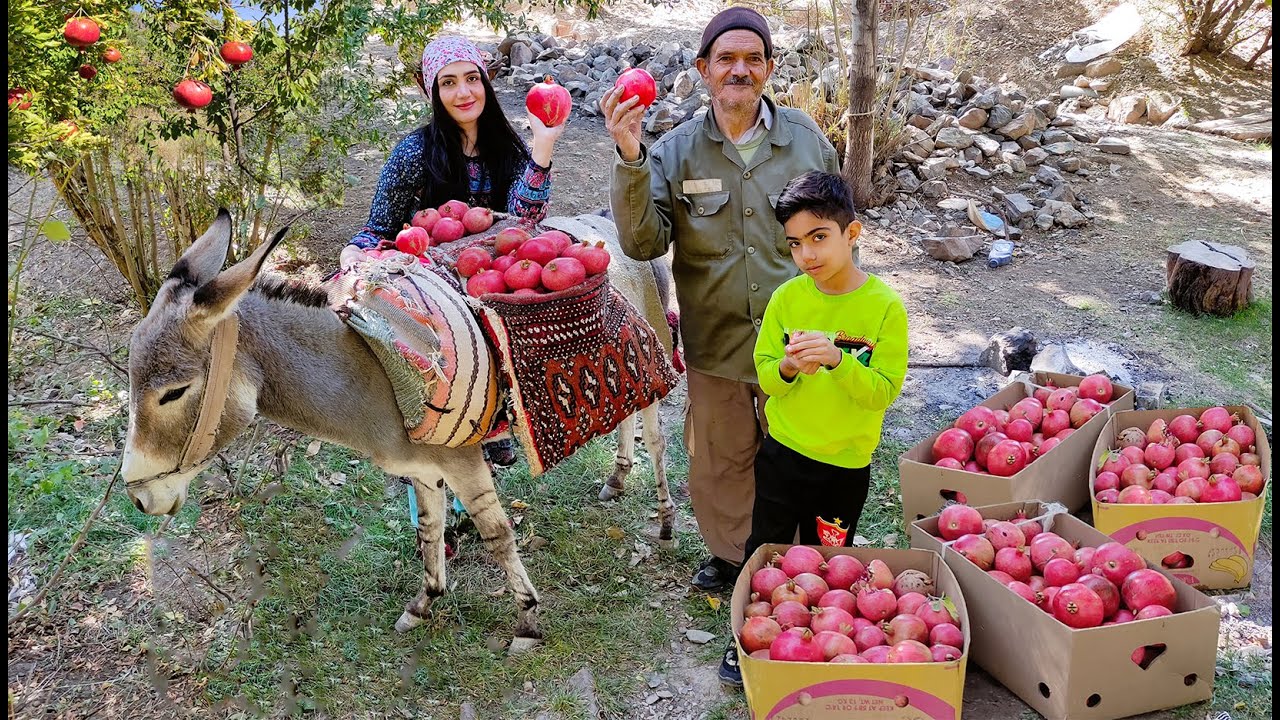 Village Life Iran in Autumn: Amazing Donkey Riding by Village Girl