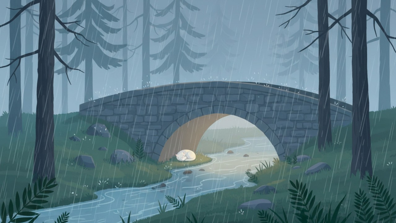 Midnight Forest Rain