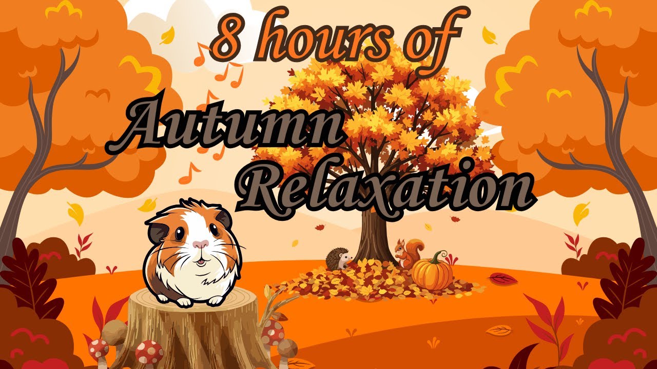 🥕Guinea Pig Fall Feast With Friends🐹