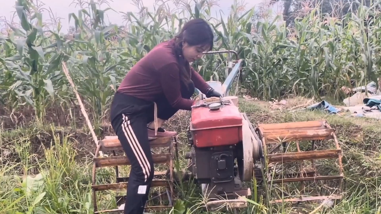 18-Year-Old Genius Girl Successfully Repairs and Restores an Old Tractor After Years of Damage