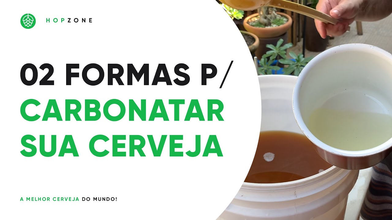 02 FORMAS PARA CARBONATAR A SUA CERVEJAS | EDSON PERRONE