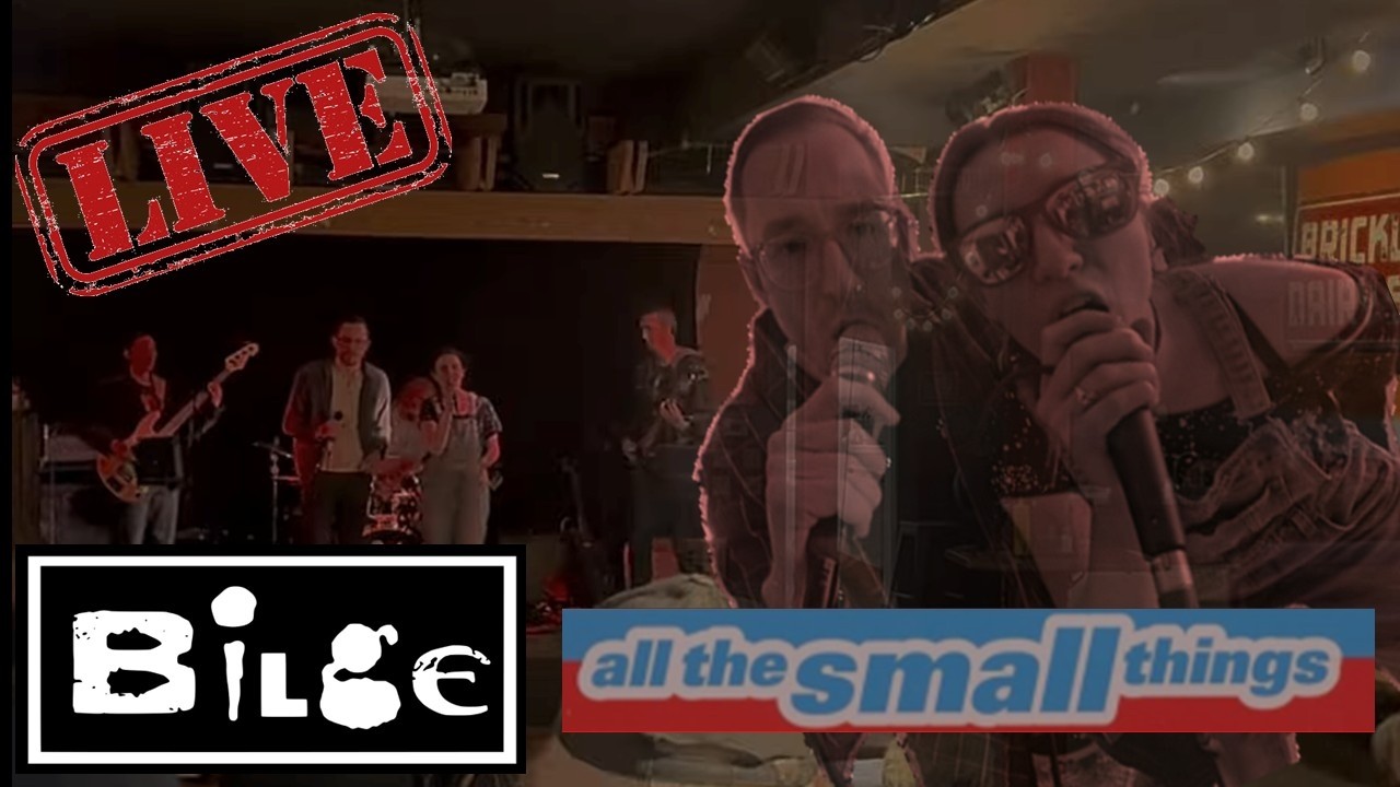 Bilge covers Blink 182 - All the small things LIVE