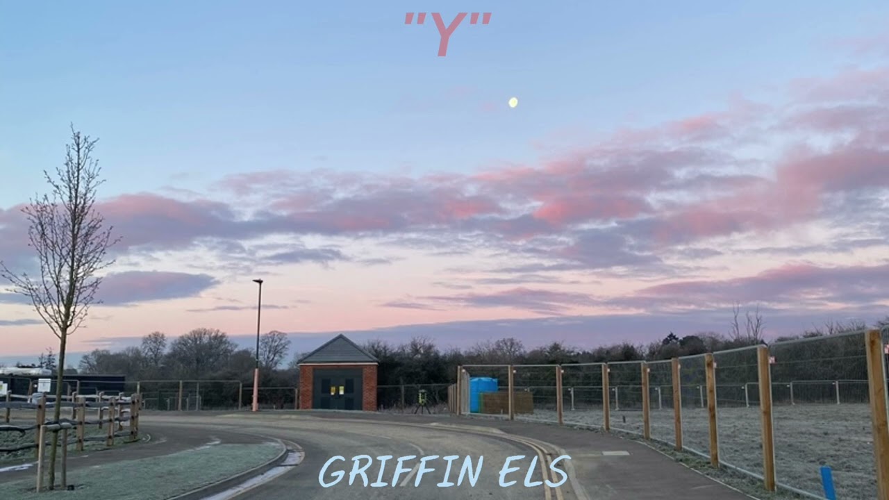“Y”