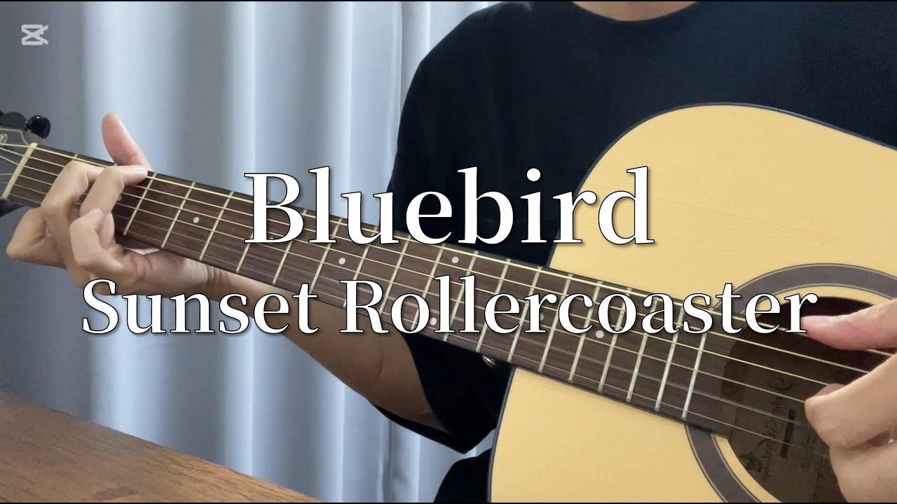 Bluebird - Sunset Rollercoaster / cover