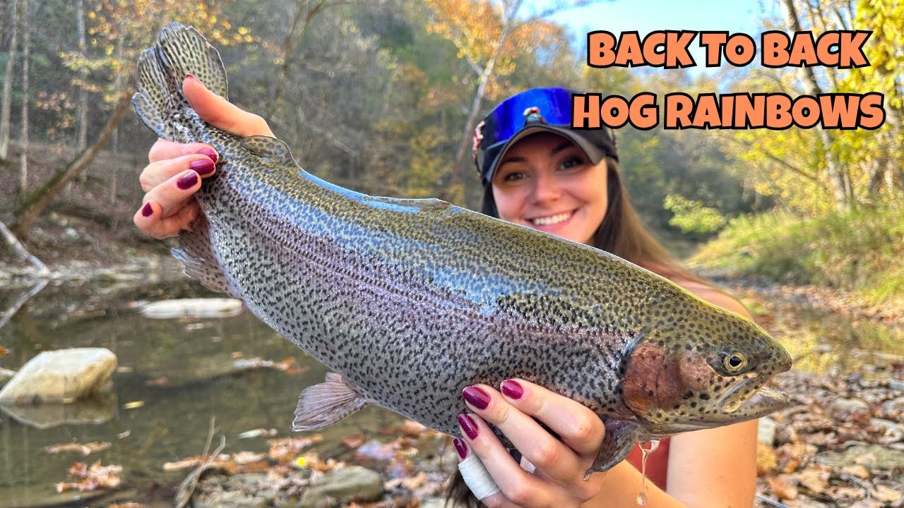 A Fish on the FIRST CAST! Huge Numbers ALL DAY!