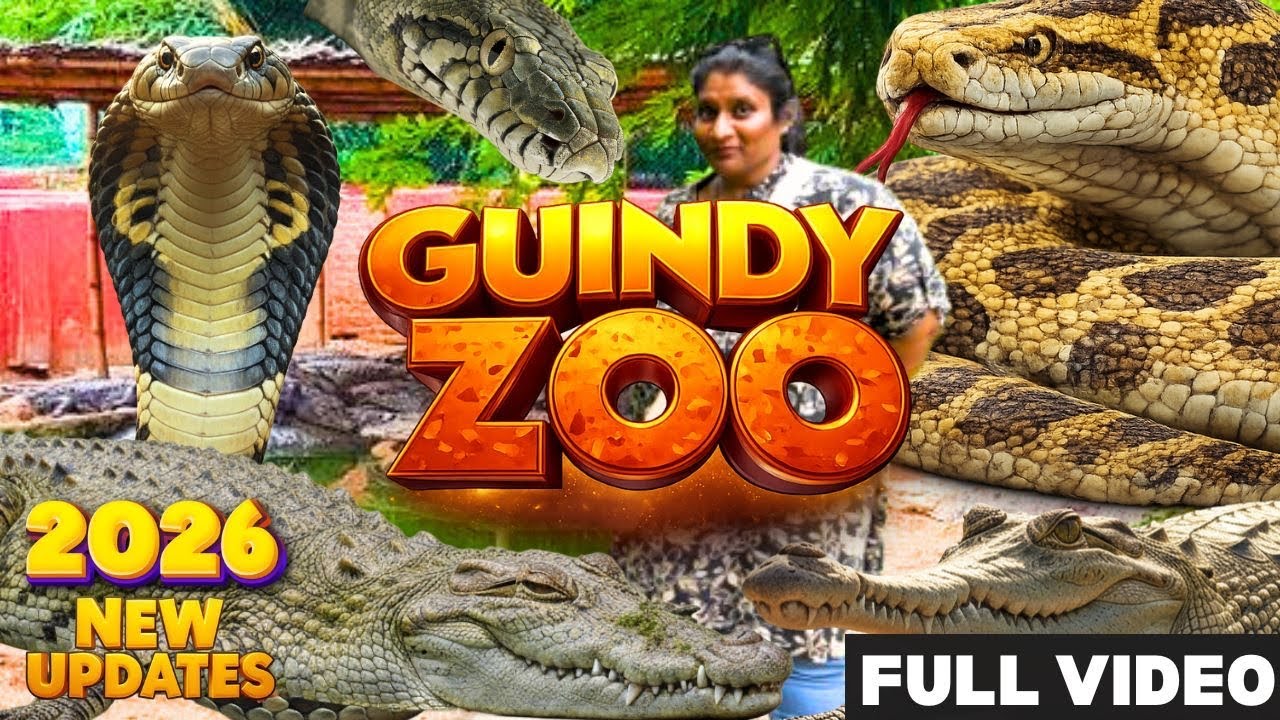 GUINDY SNAKE PARK | GUINDY NATIONAL PARK | Guindy Children‘s Park | Chennai Zoo Latest Updates