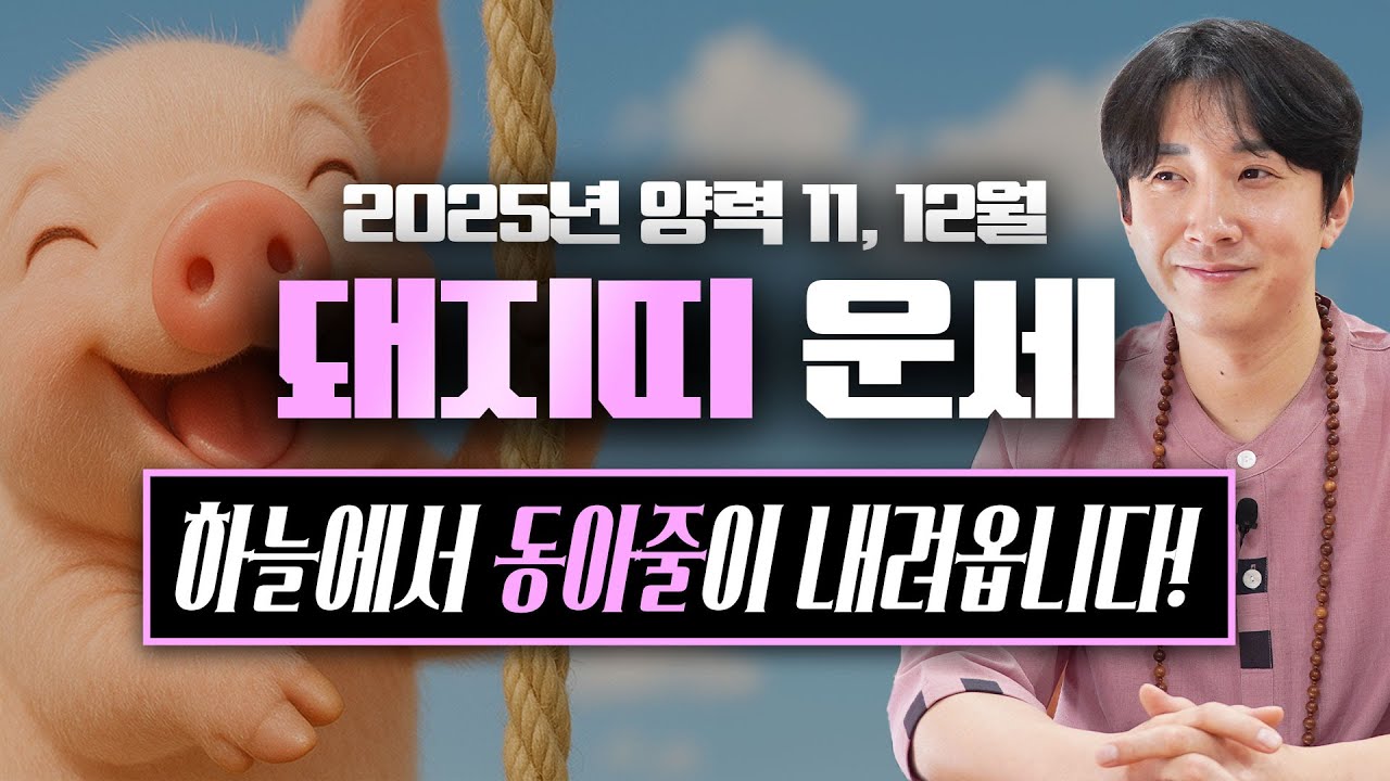 2025년 을사년 양력 11, 12월 돼지띠 운세 / 두 번 다시 없을 최고의 행운이 찾아옵니다! / 95년생, 83년생, 71년생, 59년생