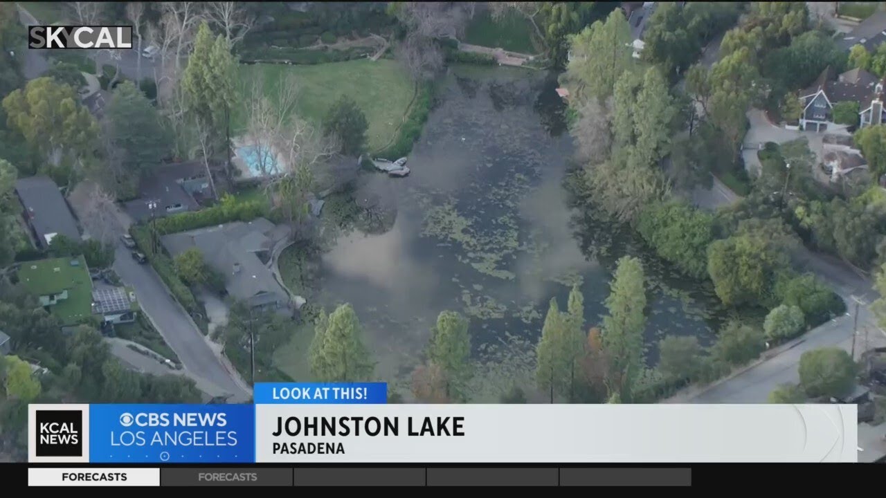Johnston Lake | Look At This!